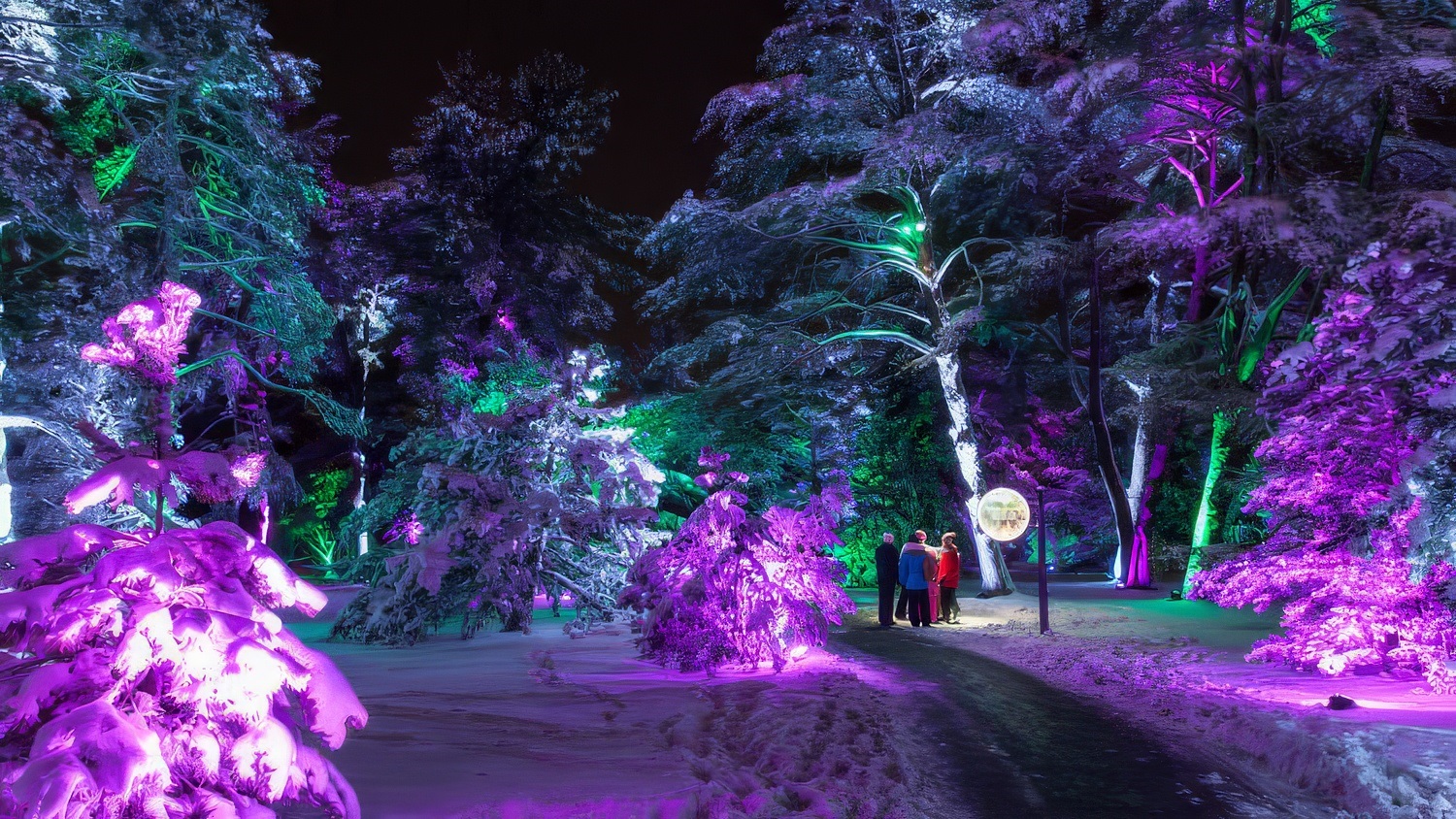 Lighting The Way:  ILC’s Pioneering Use Of Elation’s Proteus FixturesGallery Image ilc and proteus  morton arboretum 3 