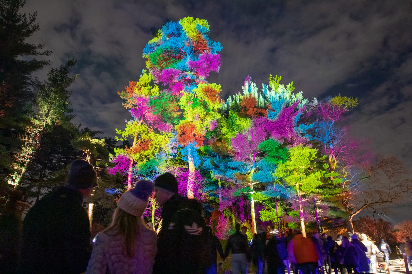 Lightswitch And Elation Transform Morton Arboretum Into Magical Wonderland Of LightGallery Image morton arboretum 2023 24 4 